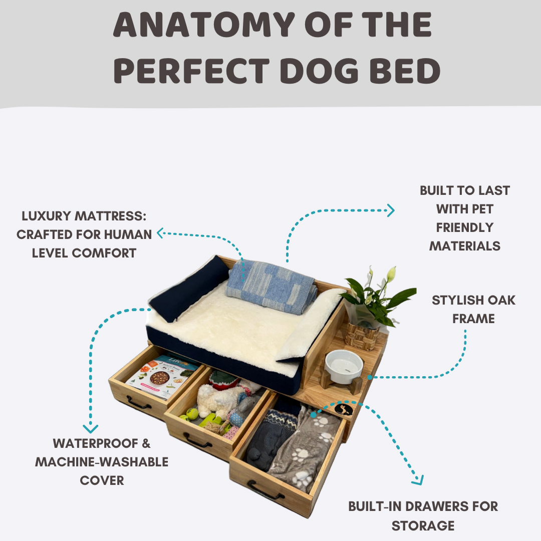 THE ZEUS BED — COMFORT MEETS DESIGN