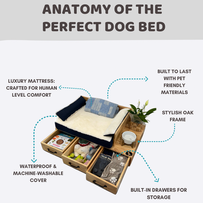 THE ZEUS BED — COMFORT MEETS DESIGN